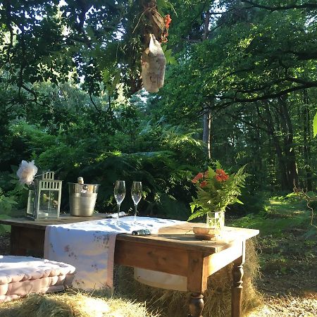 Domaine Du Vertbois La Haye-du-Theil Kültér fotó