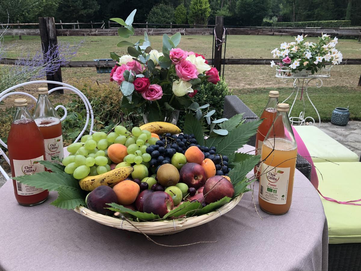 Domaine Du Vertbois La Haye-du-Theil Kültér fotó