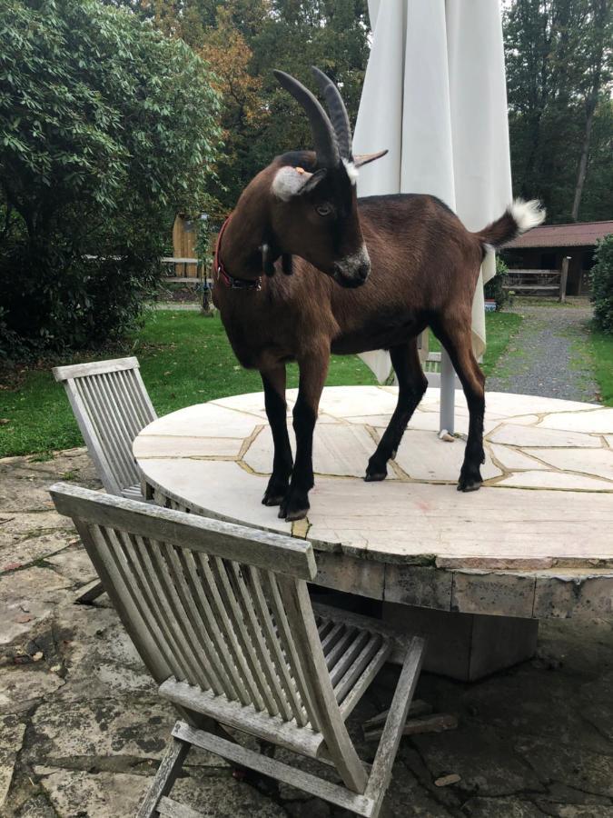 Domaine Du Vertbois La Haye-du-Theil Kültér fotó